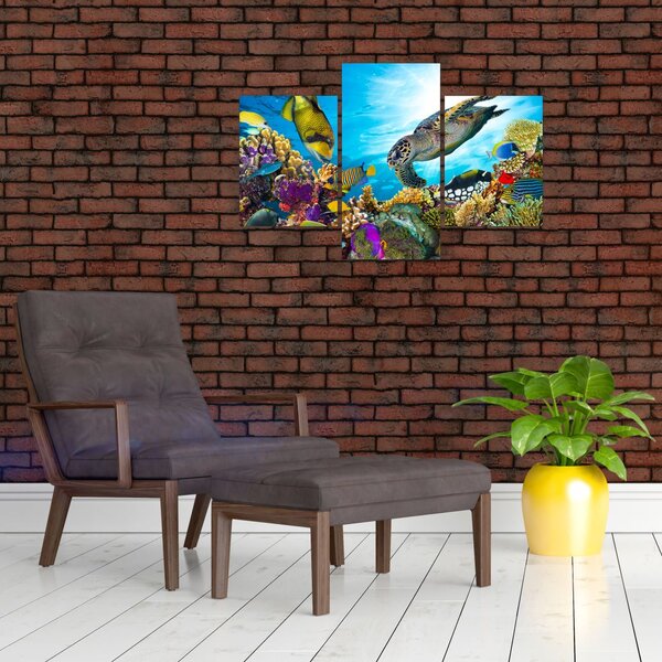 Slika koralnega grebena (90x60 cm)