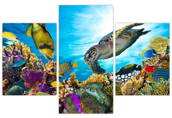 Slika koralnega grebena (90x60 cm)