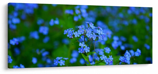 Slika plavog cvijeća (120x50 cm)