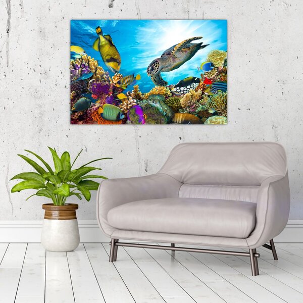 Slika koralnega grebena (90x60 cm)