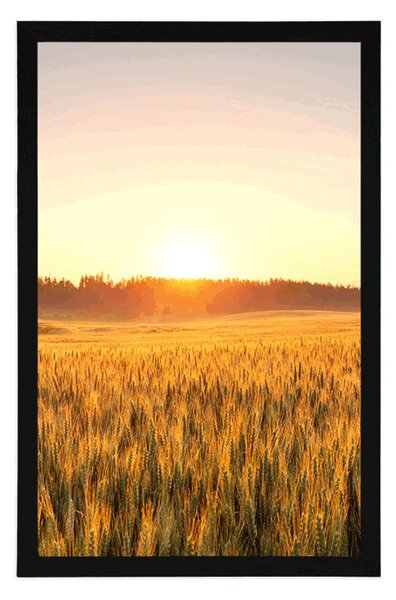 Plakat zalazak sunca nad poljem