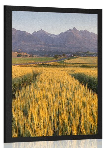 Plakat zalazak sunca nad pšeničnim poljem