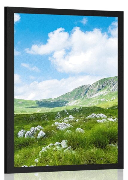 Plakat dolina u Crnoj Gori