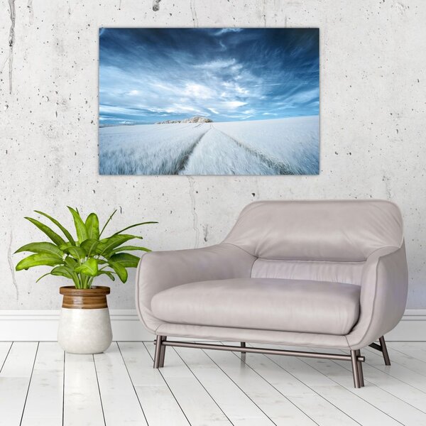 Slika polja (90x60 cm)