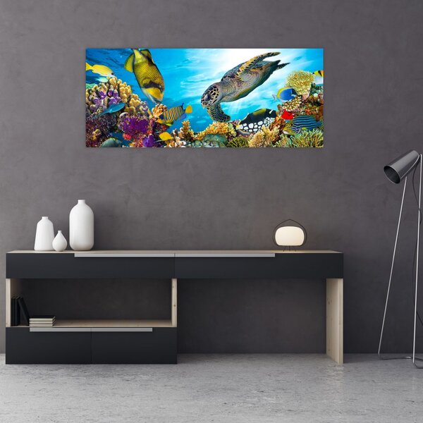 Slika koralnega grebena (120x50 cm)