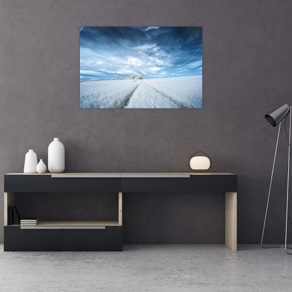 Slika polja (90x60 cm)