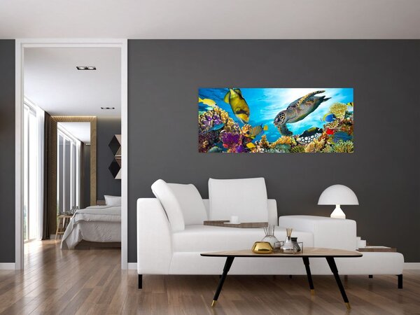 Slika koralnega grebena (120x50 cm)