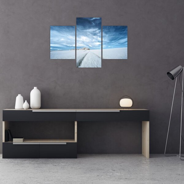 Slika polja (90x60 cm)