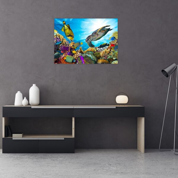 Slika koralnega grebena (70x50 cm)