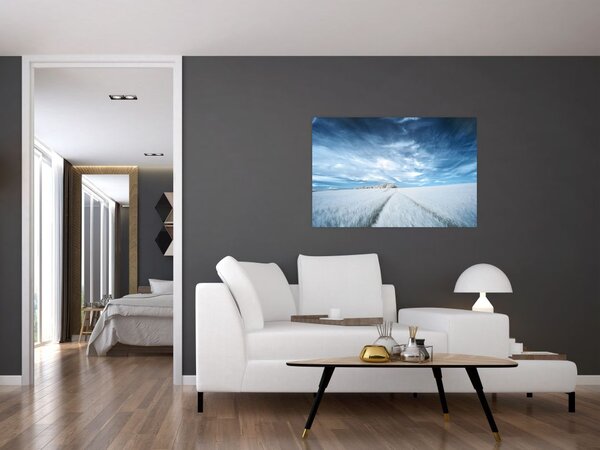Slika polja (90x60 cm)