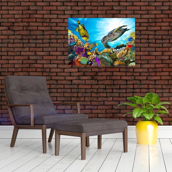 Slika koralnega grebena (70x50 cm)