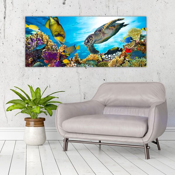 Slika koralnega grebena (120x50 cm)