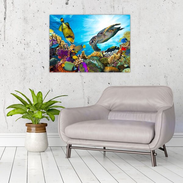 Slika koralnega grebena (70x50 cm)