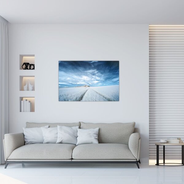 Slika polja (90x60 cm)