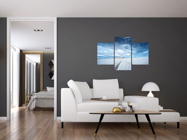Slika polja (90x60 cm)