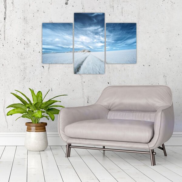 Slika polja (90x60 cm)