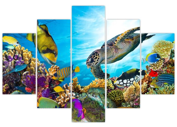 Slika koralnega grebena (150x105 cm)