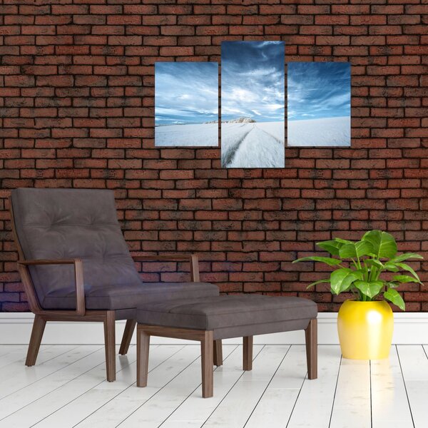Slika polja (90x60 cm)