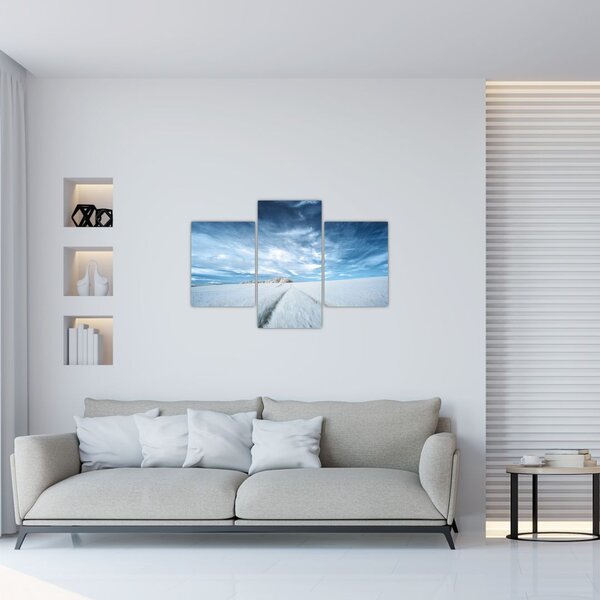 Slika polja (90x60 cm)