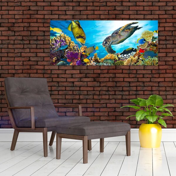 Slika koralnega grebena (120x50 cm)