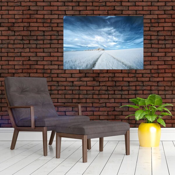 Slika polja (90x60 cm)