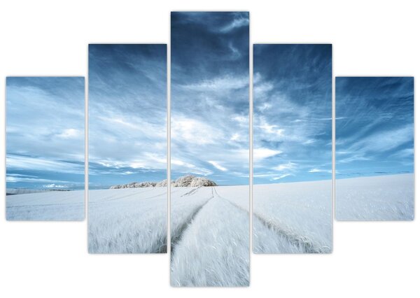 Slika polja (150x105 cm)