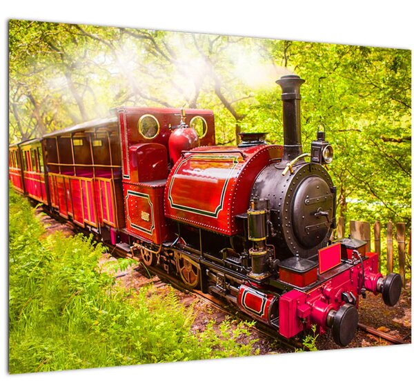 Slika parnega vlaka (70x50 cm)