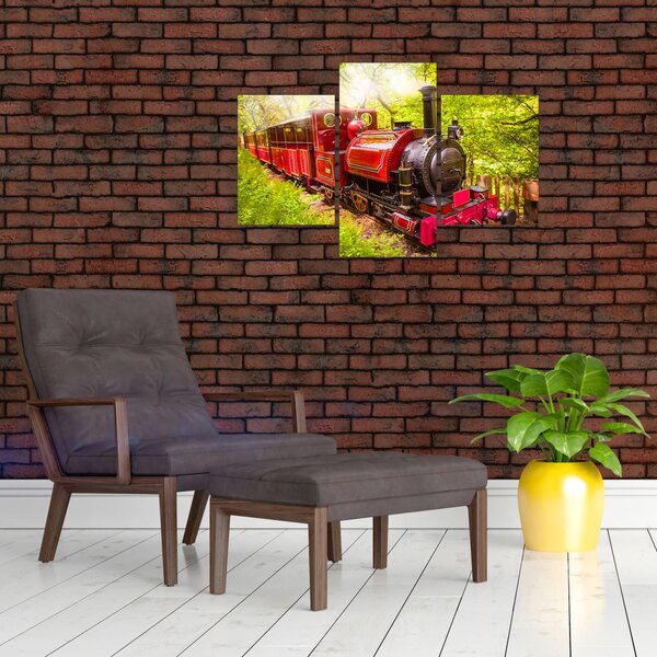 Slika parnega vlaka (90x60 cm)