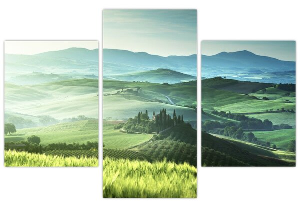 Slika - Toskana, Italija (90x60 cm)
