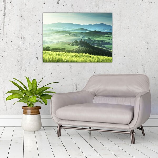 Slika - Toskana, Italija (70x50 cm)