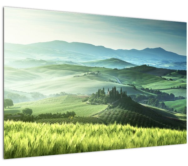 Slika - Toskana, Italija (90x60 cm)