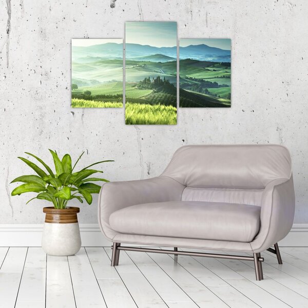 Slika - Toskana, Italija (90x60 cm)
