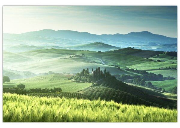 Slika - Toskana, Italija (90x60 cm)
