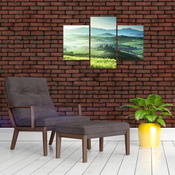 Slika - Toskana, Italija (90x60 cm)