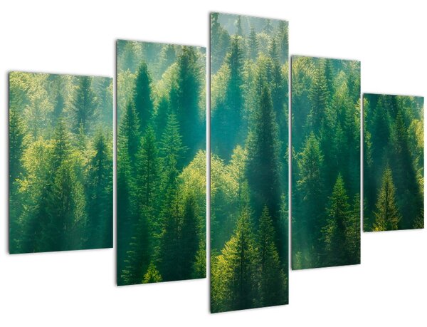 Slika - Borov gozd (150x105 cm)