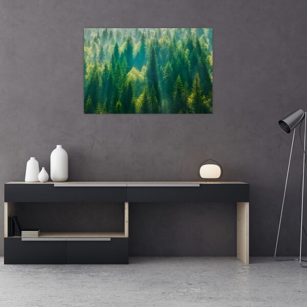 Slika - Borov gozd (90x60 cm)
