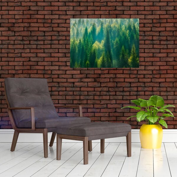 Slika - Borov gozd (70x50 cm)