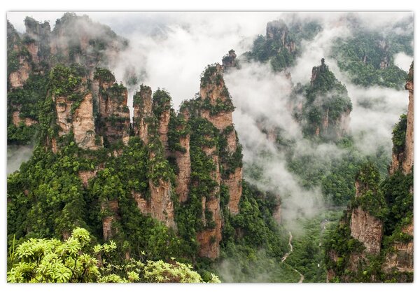Slika - Nacionalni park Zhangjiajie, Kitajska (90x60 cm)