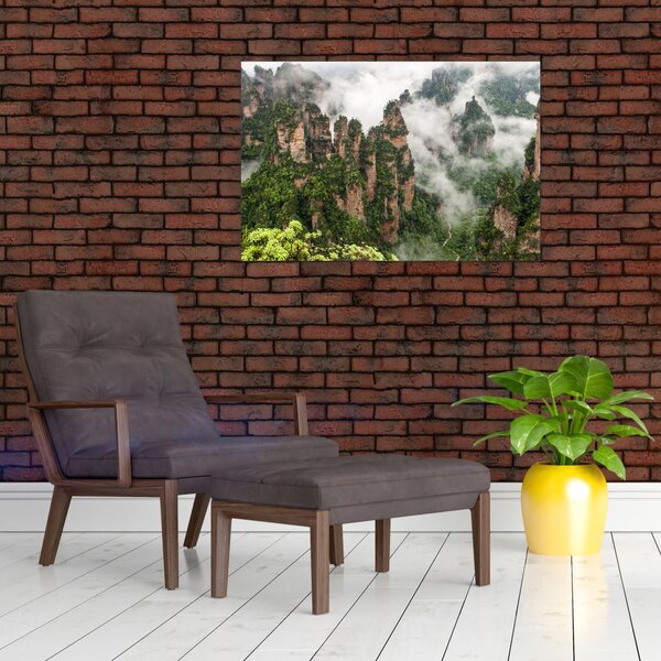 Slika - Nacionalni park Zhangjiajie, Kitajska (90x60 cm)