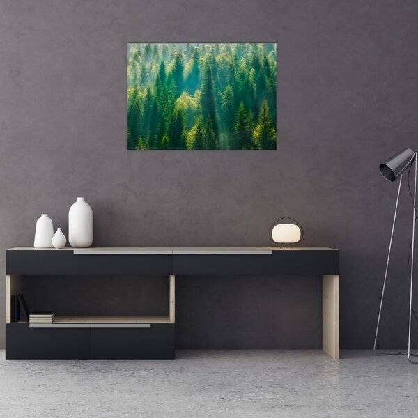 Slika - Borov gozd (70x50 cm)
