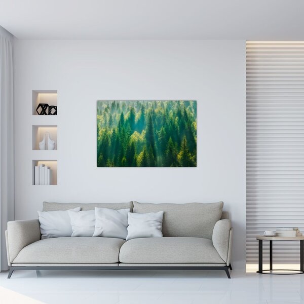 Slika - Borov gozd (90x60 cm)