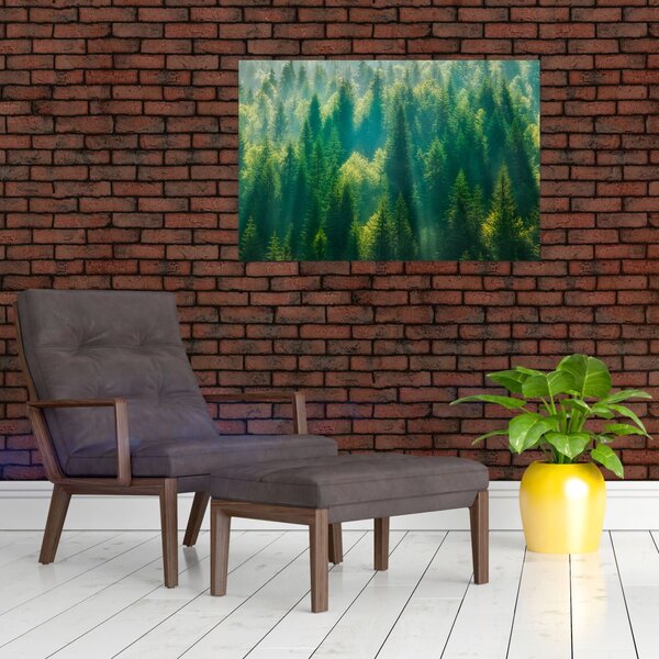 Slika - Borov gozd (90x60 cm)