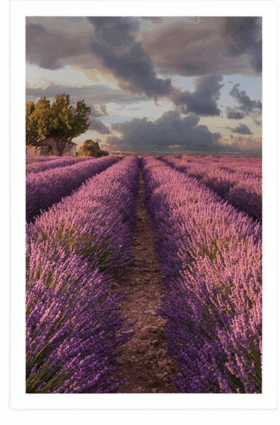 Plakat krajolik s poljima lavande