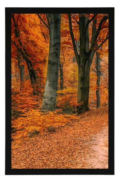 Plakat šuma u jesenje doba