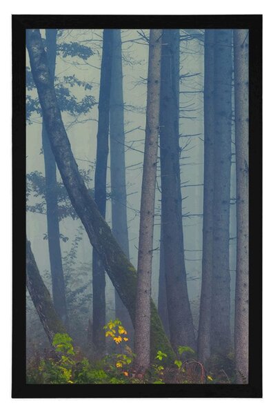 Plakat tajanstvena šuma