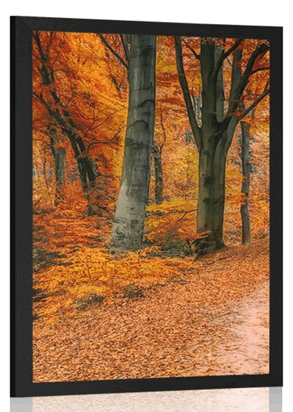 Plakat šuma u jesenje doba