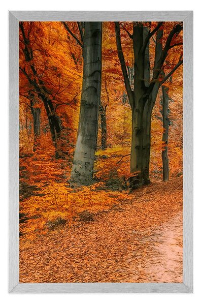 Plakat šuma u jesenje doba