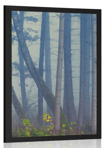 Plakat tajanstvena šuma