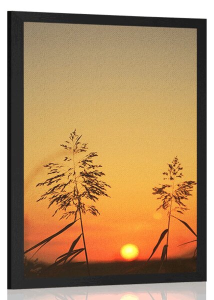 Plakat vlati trave pri zalasku sunca