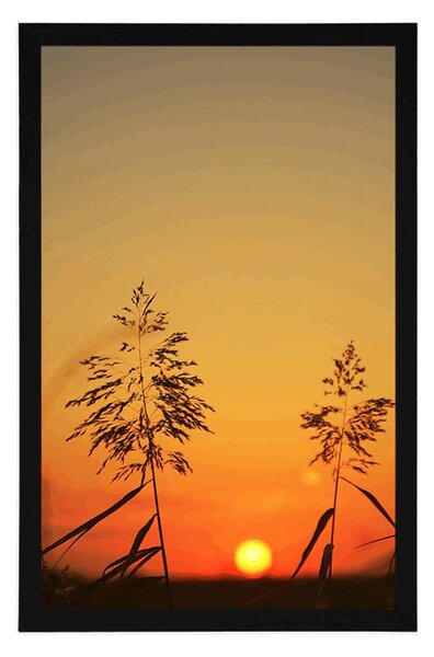 Plakat vlati trave pri zalasku sunca